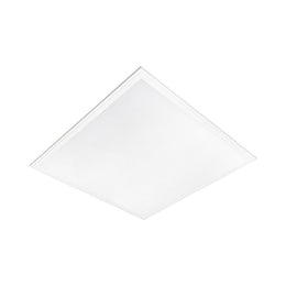 20419